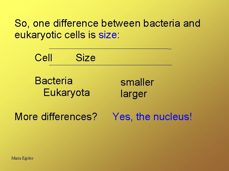 So, one difference between bacteria and eukaryotic cells is size: Cell Size Bacteria Eukaryota