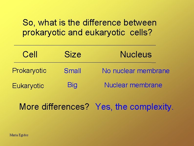 So, what is the difference between prokaryotic and eukaryotic cells? Cell Size Nucleus Prokaryotic