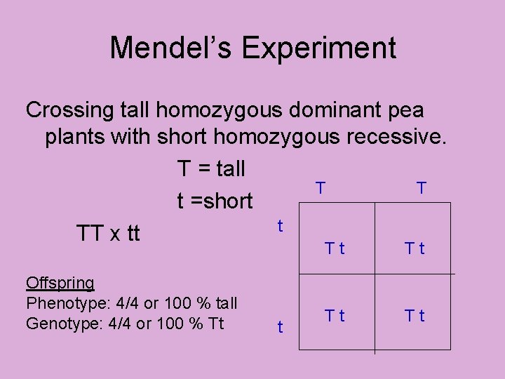 Mendel’s Experiment Crossing tall homozygous dominant pea plants with short homozygous recessive. T =