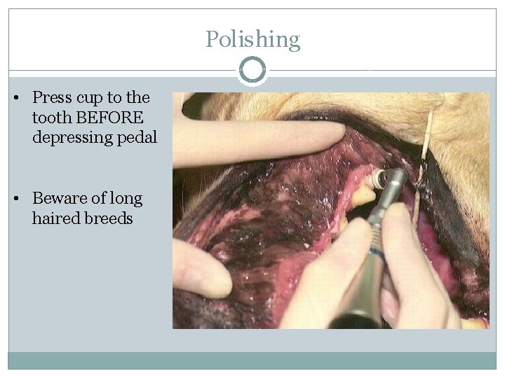 Polishing • Press cup to the tooth BEFORE depressing pedal • Beware of long