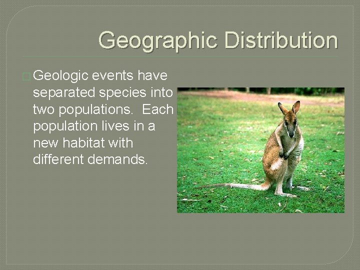Geographic Distribution � Geologic events have separated species into two populations. Each population lives Geographic Distribution � Geologic events have separated species into two populations. Each population lives