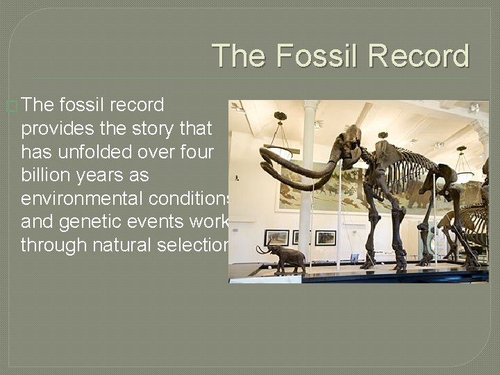 The Fossil Record � The fossil record provides the story that has unfolded over The Fossil Record � The fossil record provides the story that has unfolded over