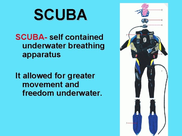 SCUBA- self contained underwater breathing apparatus It allowed for greater movement and freedom underwater