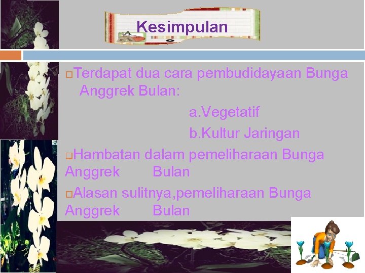 Kesimpulan Terdapat dua cara pembudidayaan Bunga Anggrek Bulan: a. Vegetatif b. Kultur Jaringan q.