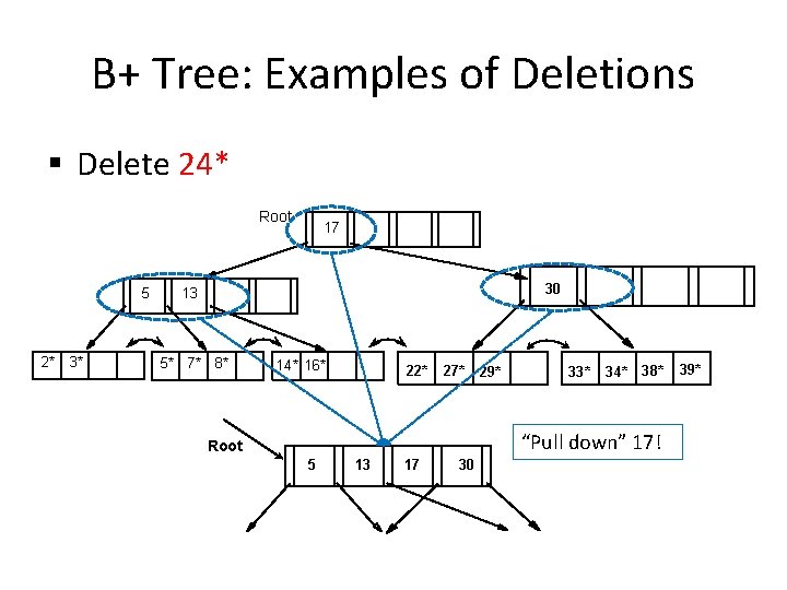 B+ Tree: Examples of Deletions § Delete 24* Root 5 2* 3* 17 30