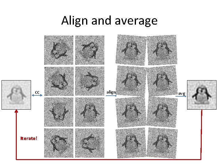 Align and average CC Iterate! align avg 