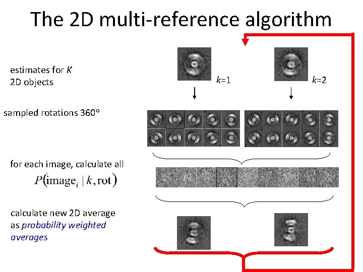 The 2 D multi-reference algorithm estimates for K 2 D objects sampled rotations 360°