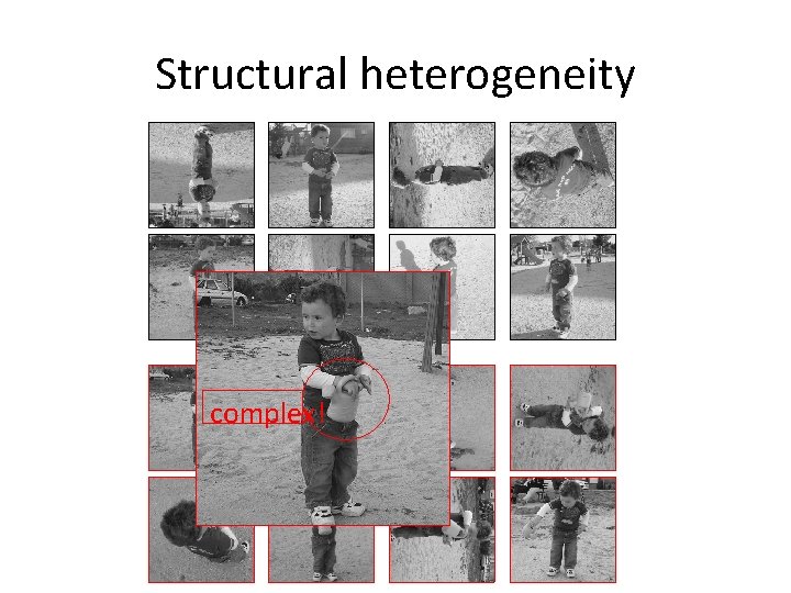 Structural heterogeneity complex! 