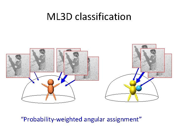 ML 3 D classification “Probability-weighted angular assignment” 