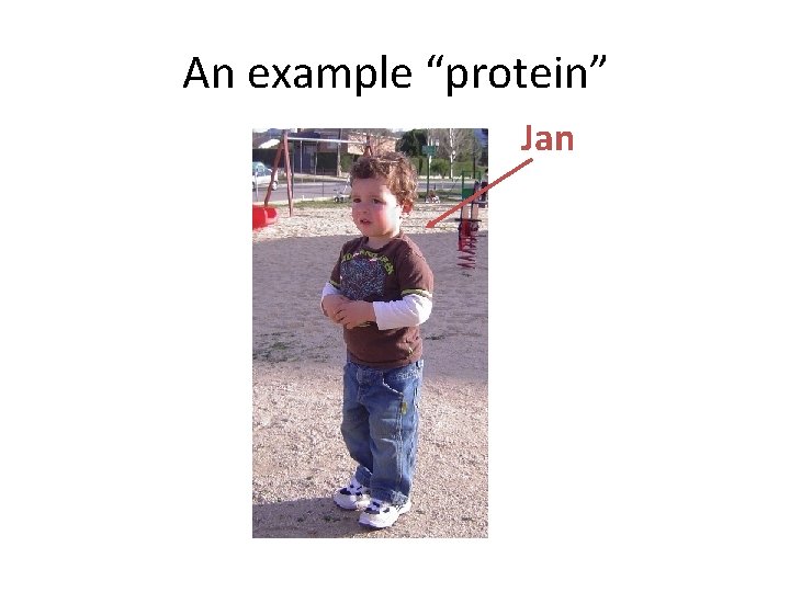 An example “protein” Jan 
