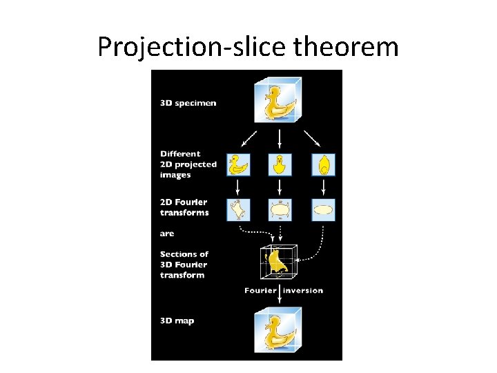 Projection-slice theorem 