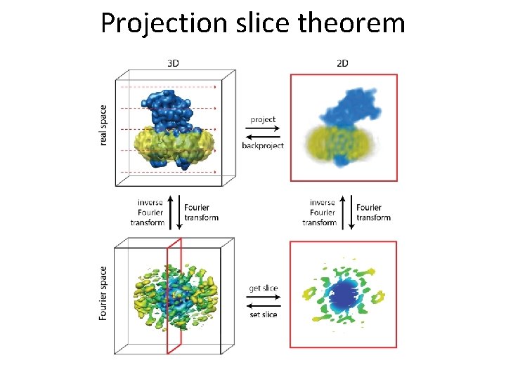 Projection slice theorem 