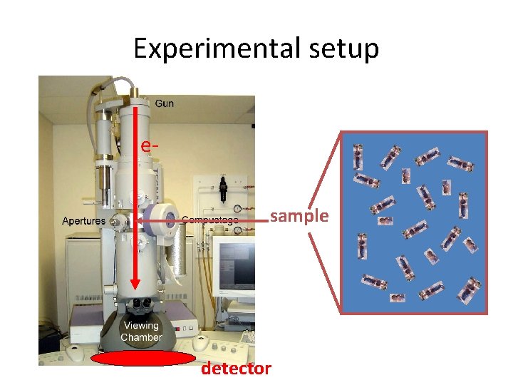 Experimental setup esample detector 