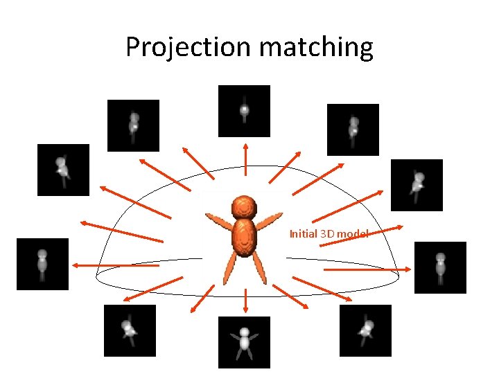 Projection matching Initial 3 D model 