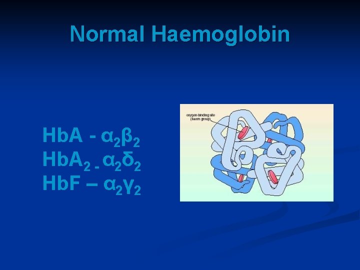 Normal Haemoglobin Hb. A - α 2β 2 Hb. A 2 - α 2δ