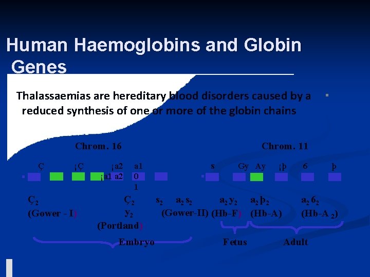 Human Haemoglobins and Globin Genes Thalassaemias are hereditary blood disorders caused by a reduced