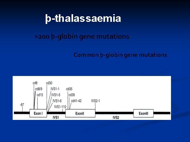 þ-thalassaemia >200 þ-globin gene mutations Common þ-globin gene mutations 
