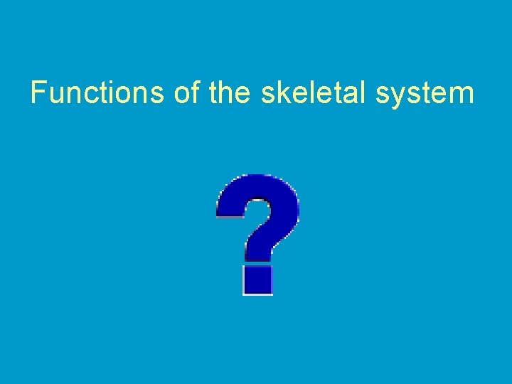 Functions of the skeletal system 