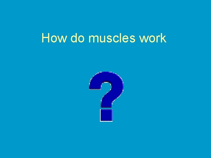 How do muscles work 
