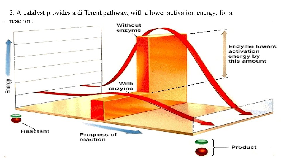 2. A catalyst provides a different pathway, with a lower activation energy, for a