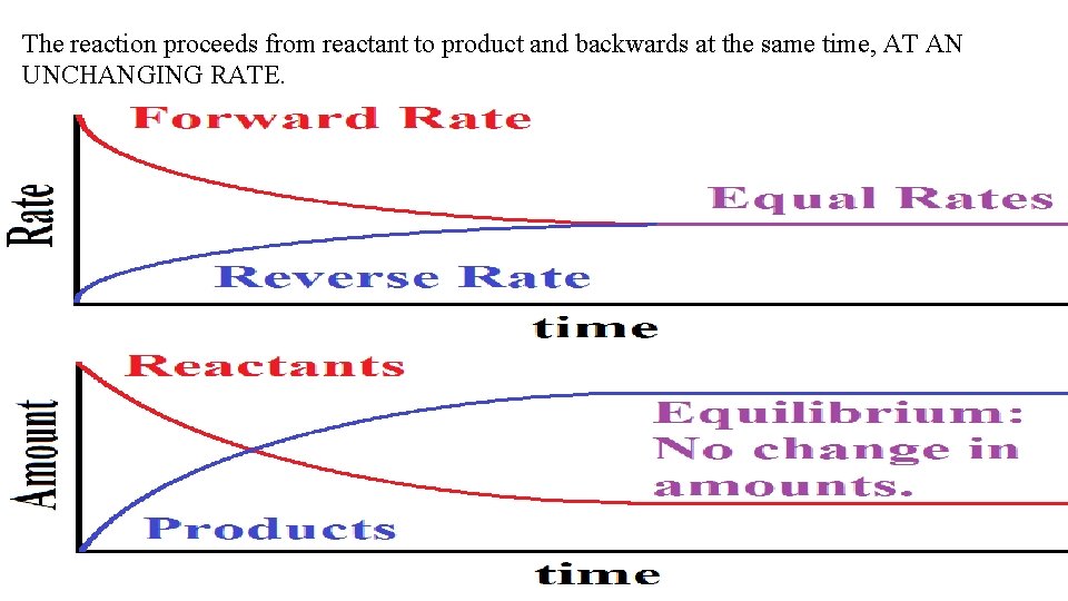 The reaction proceeds from reactant to product and backwards at the same time, AT