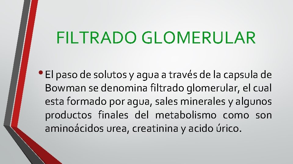 FILTRADO GLOMERULAR • El paso de solutos y agua a través de la capsula