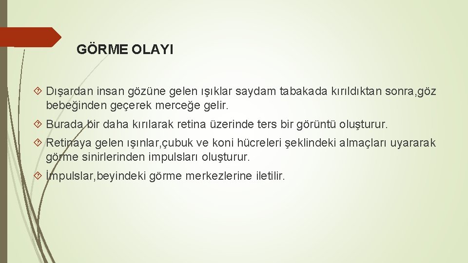 GÖRME OLAYI Dışardan insan gözüne gelen ışıklar saydam tabakada kırıldıktan sonra, göz bebeğinden geçerek