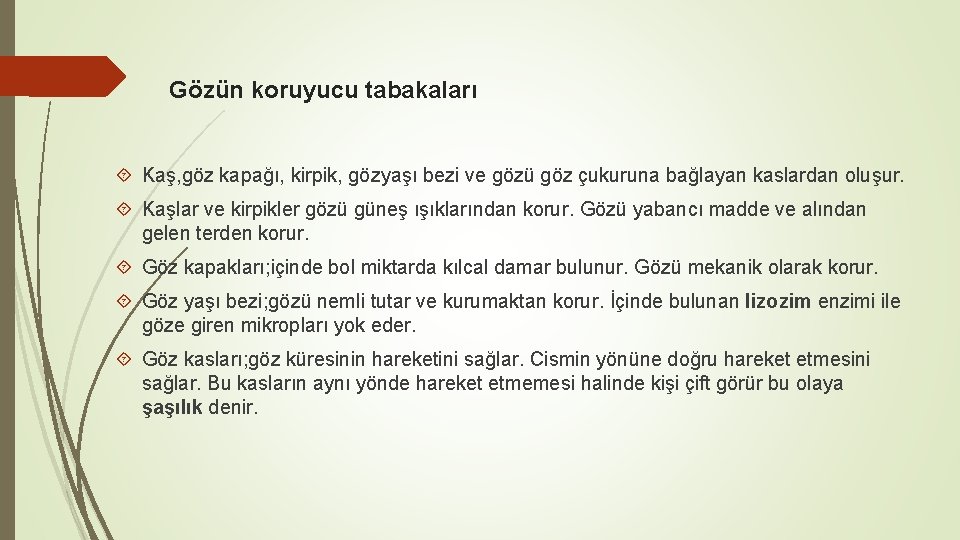 Gözün koruyucu tabakaları Kaş, göz kapağı, kirpik, gözyaşı bezi ve gözü göz çukuruna bağlayan