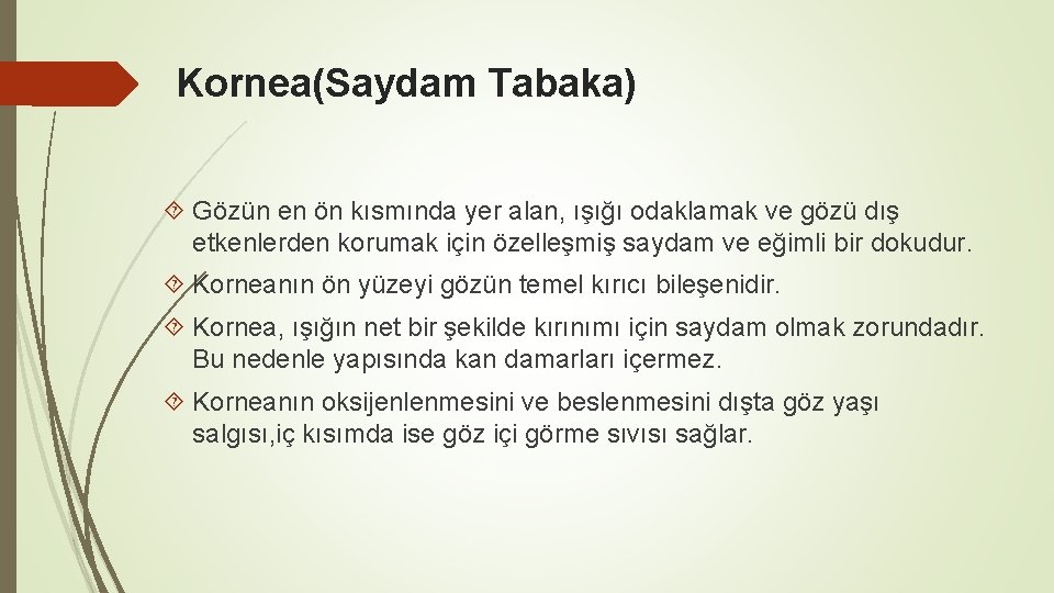 Kornea(Saydam Tabaka) Gözün en ön kısmında yer alan, ışığı odaklamak ve gözü dış etkenlerden