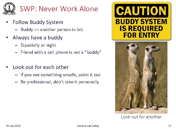 SWP: Never Work Alone • Follow Buddy System – Buddy == another person in
