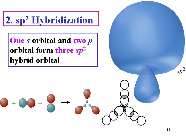 2. sp 2 Hybridization One s orbital and two p orbital form three sp