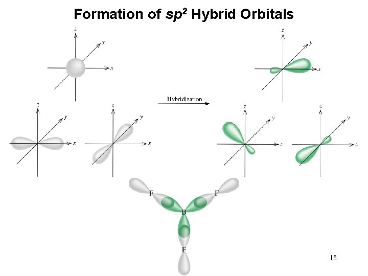 Formation of sp 2 Hybrid Orbitals 18 
