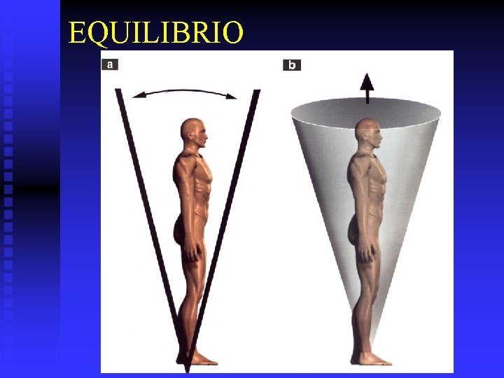 EQUILIBRIO 