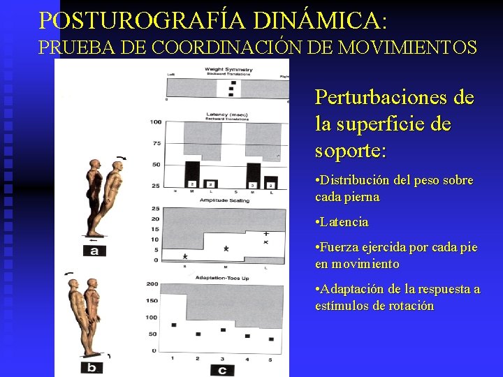 POSTUROGRAFÍA DINÁMICA: PRUEBA DE COORDINACIÓN DE MOVIMIENTOS Perturbaciones de la superficie de soporte: •