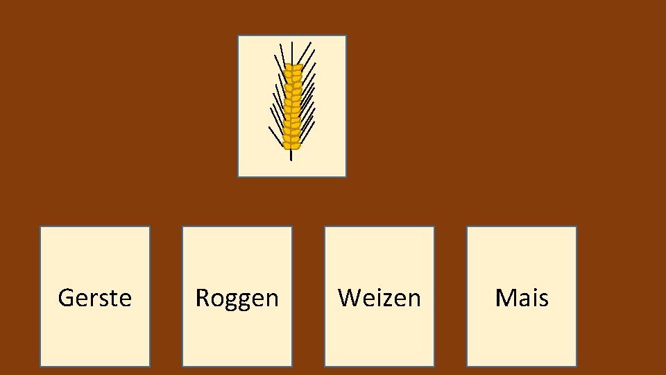 Gerste Roggen Weizen Mais 