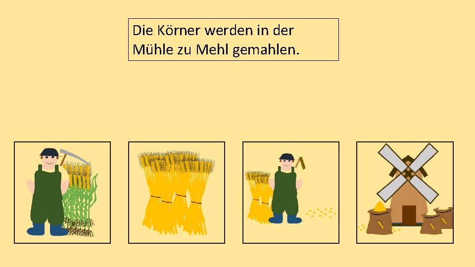 Die Körner werden in der Mühle zu Mehl gemahlen. 