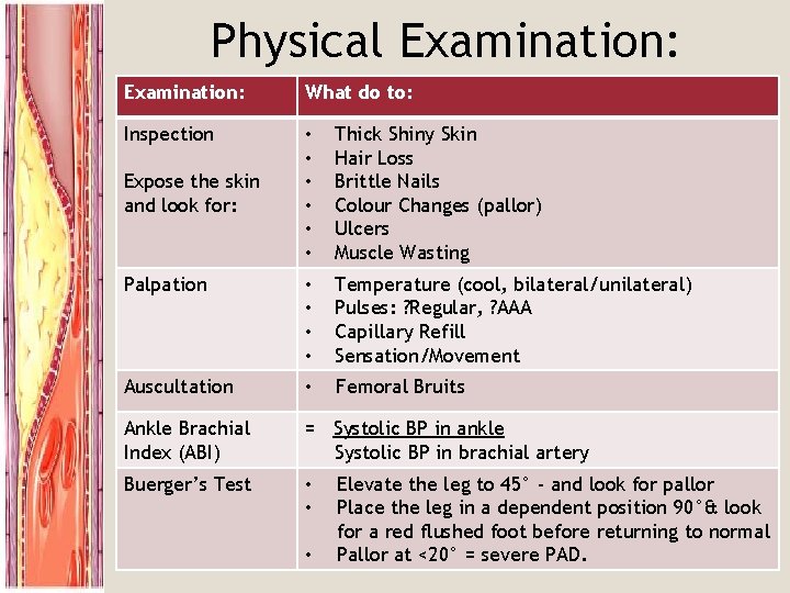 Physical Examination: What do to: Inspection • • • Thick Shiny Skin Hair Loss