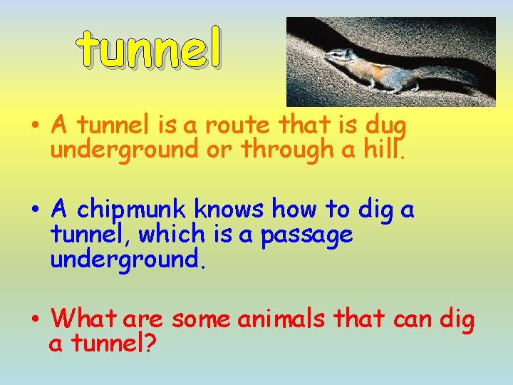 tunnel • A tunnel is a route that is dug underground or through a