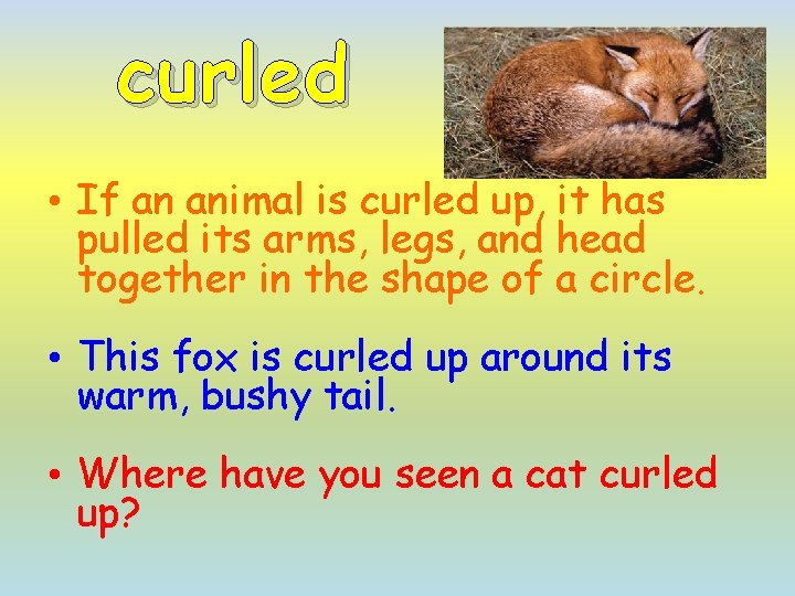 curled • If an animal is curled up, it has pulled its arms, legs,