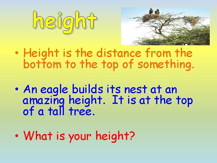 height • Height is the distance from the bottom to the top of something.