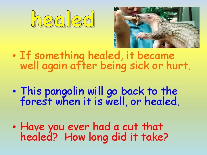 healed • If something healed, it became well again after being sick or hurt.