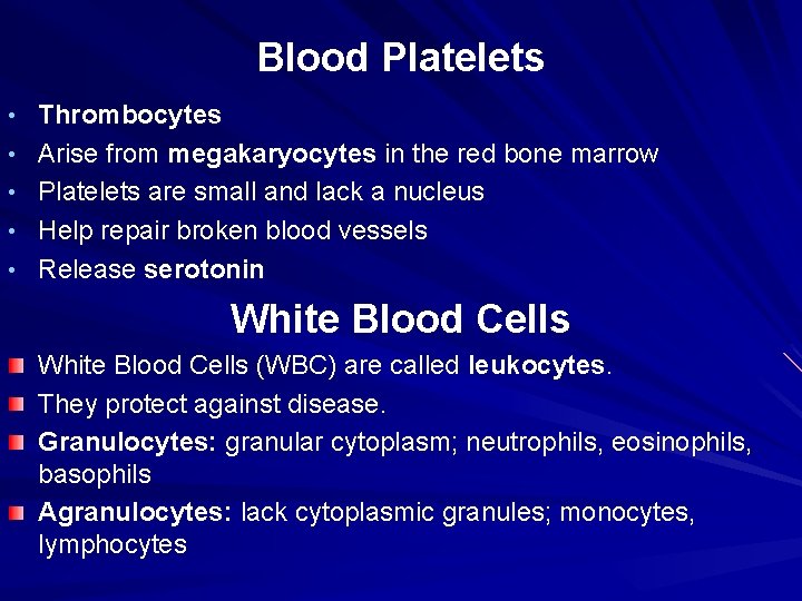 Blood Platelets • Thrombocytes • Arise from megakaryocytes in the red bone marrow •