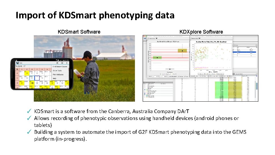 Import of KDSmart phenotyping data KDSmart Software KDXplore Software ✓ KDSmart is a software