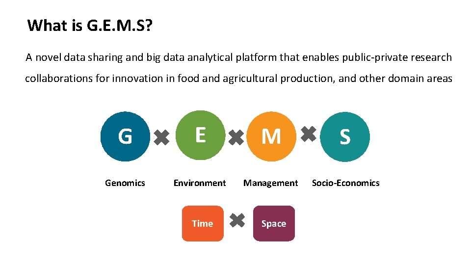 What is G. E. M. S? A novel data sharing and big data analytical