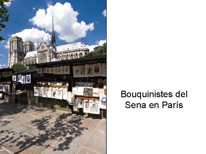 Bouquinistes del Sena en París 