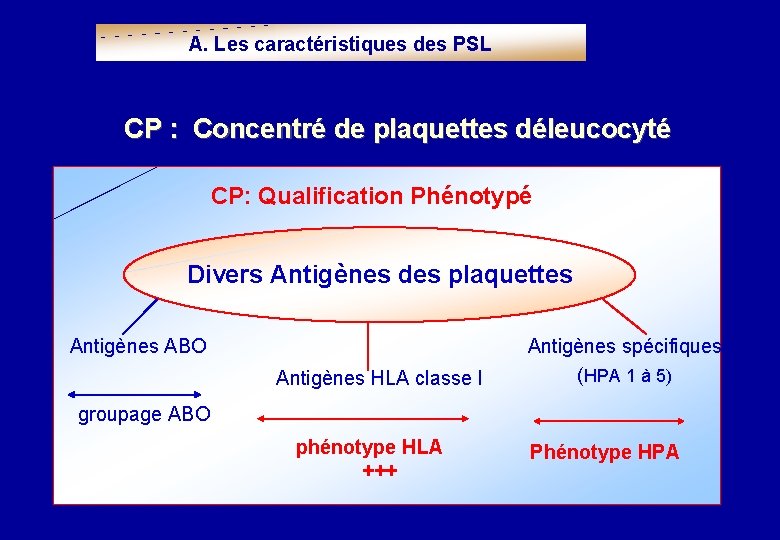 A. Les caractéristiques des PSL CP : Concentré de plaquettes déleucocyté CP: Qualification Phénotypé