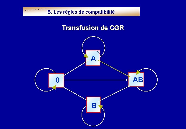 B. Les règles de compatibilité Transfusion de CGR A AB 0 B 