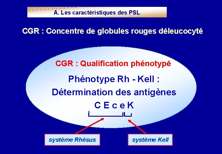A. Les caractéristiques des PSL CGR : Concentre de globules rouges déleucocyté CGR :
