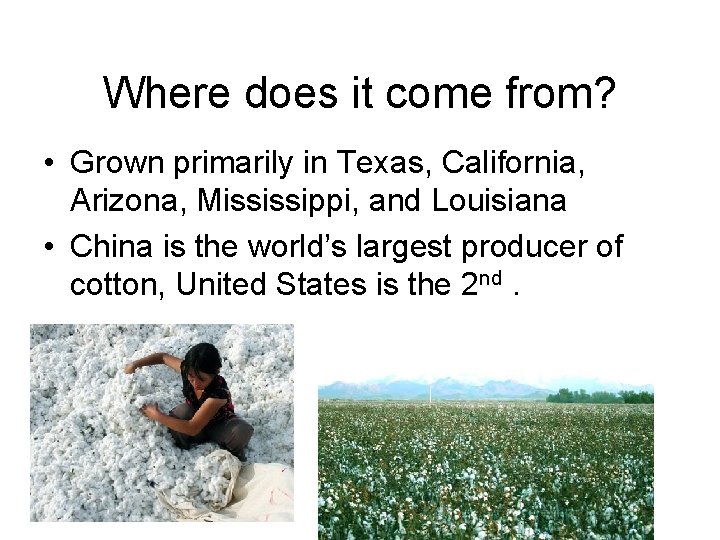 Where does it come from? • Grown primarily in Texas, California, Arizona, Mississippi, and