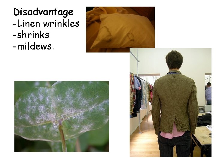 Disadvantage -Linen wrinkles -shrinks -mildews. 